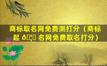 商标取名网免费测打分（商标起 🦄 名网免费取名打分）